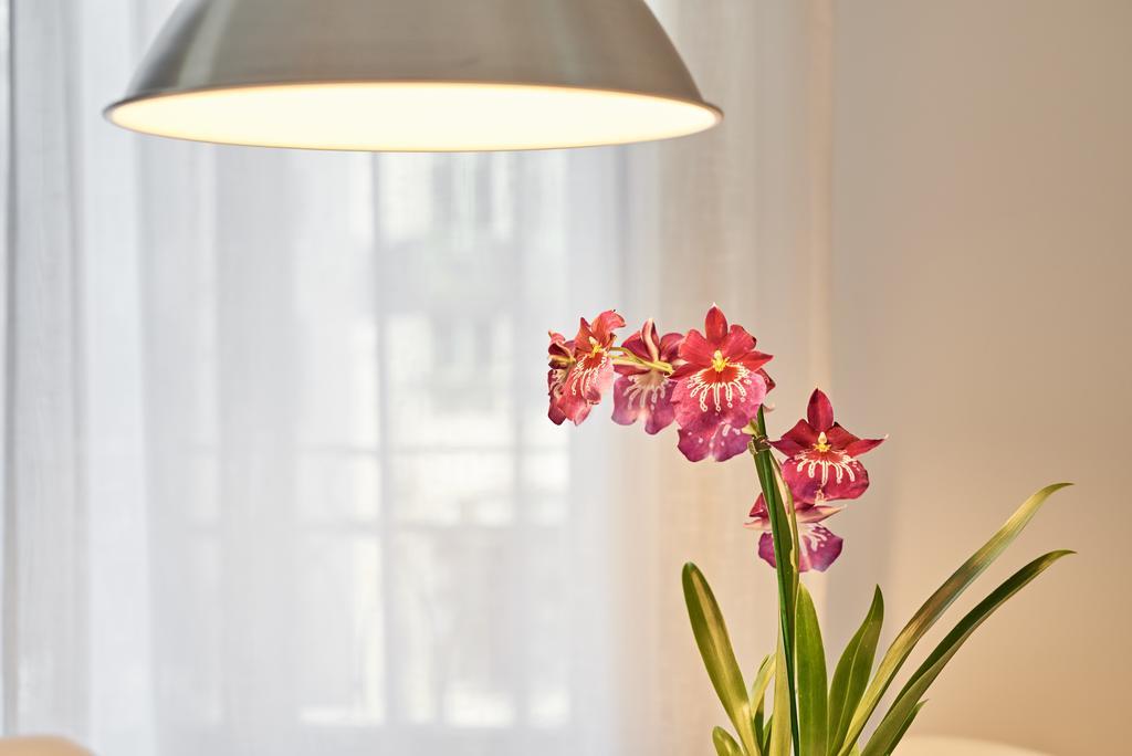Apartamentos Ponte Nova Porto Kültér fotó